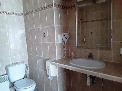 Hotel H�tel Evian Express - Terminus