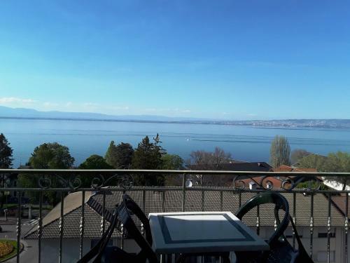 Hotel H�tel Evian Express - Terminus