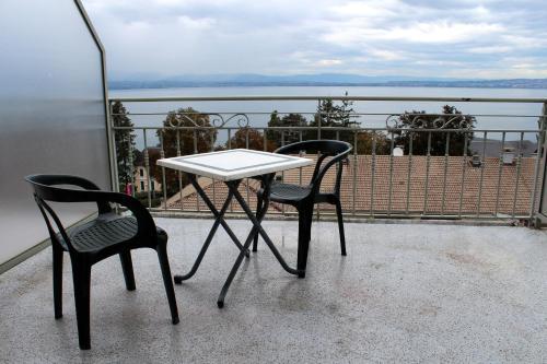Hotel H�tel Evian Express - Terminus