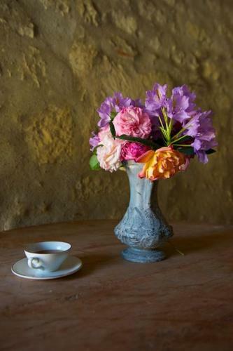 Bed & Breakfast Manoir de La Foulquetiere