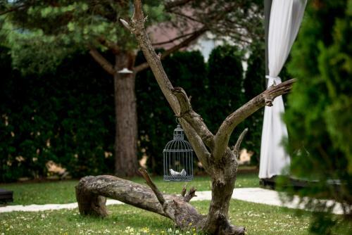 Hostal Boutique House Oreskovic