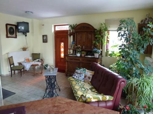 Bed & Breakfast Edelweiss Panzi�