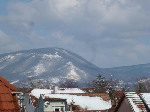 Bed & Breakfast Edelweiss Panzi�