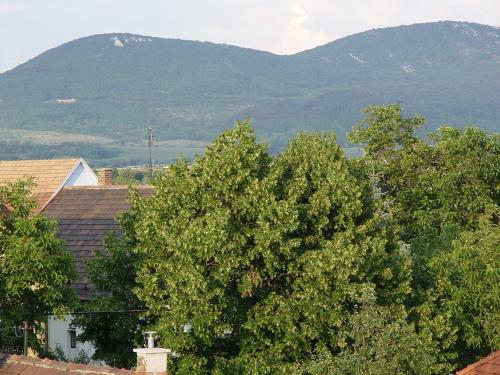 Bed & Breakfast Edelweiss Panzi�