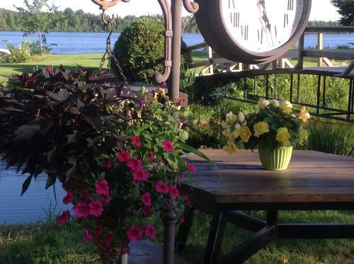 Bed & Breakfast G�te 40 Laverdure