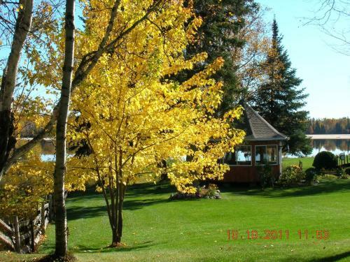 Bed & Breakfast G�te 40 Laverdure