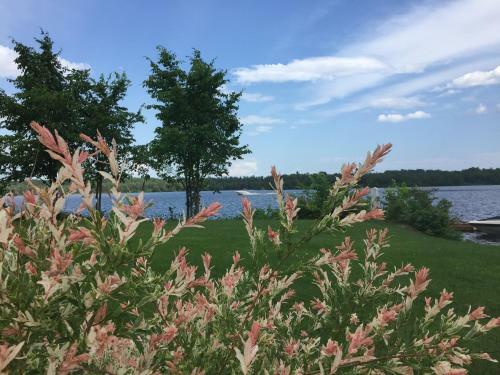 Bed & Breakfast G�te 40 Laverdure
