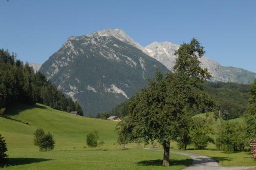 Bed & Breakfast Hinterkellaubauer