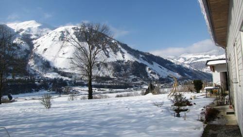 Bed & Breakfast Lo Saunei