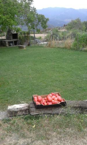 Agroturismo Casa Arana - Parque Nacional de Ordesa