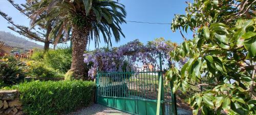 Agroturismo Casa Canarina