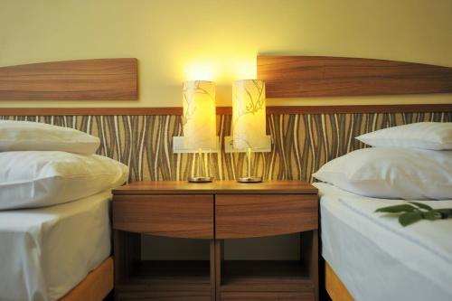 Park Hotel Gyula