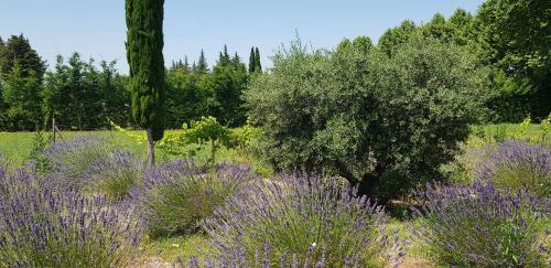 Bed & Breakfast La Pastorale
