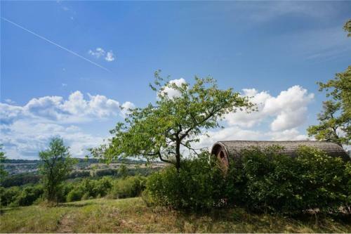 Agroturismo Le Chalet Du Chemin Et Sa Roulotte