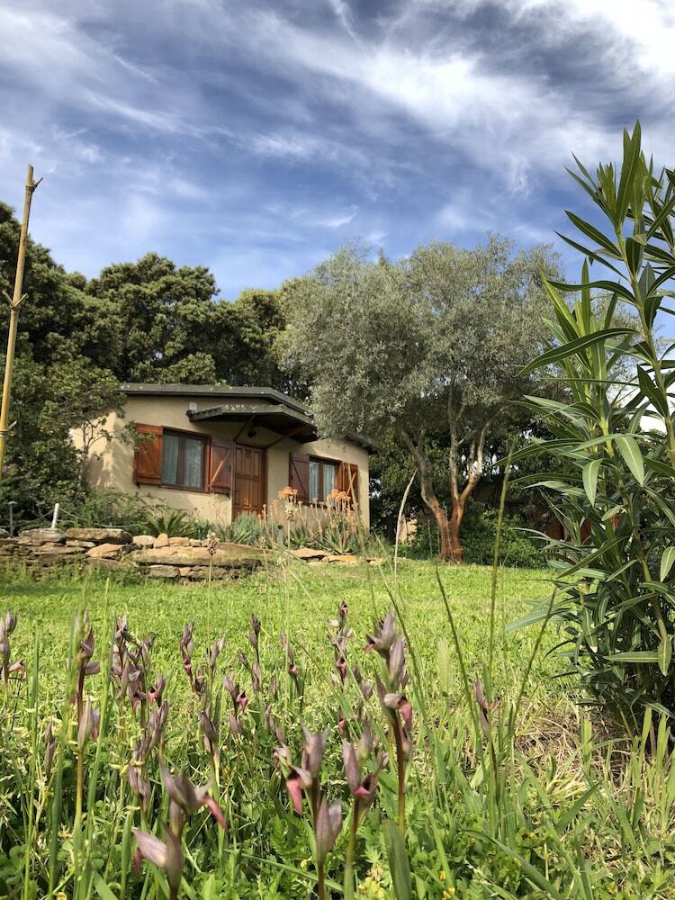 Agroturismo La Cerca Del Alcornoque