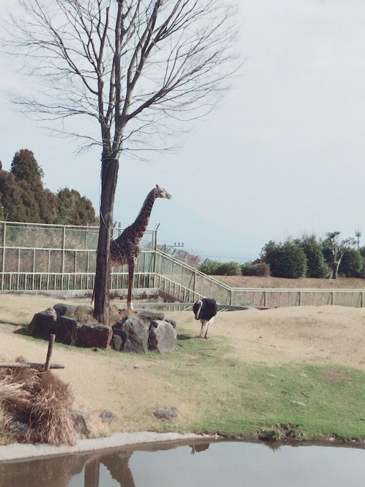 Hotel Hokke Club Kagoshima