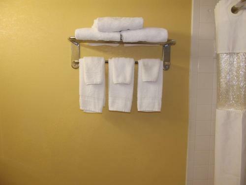 Motel Ambassadors Inn And Suites - Virginia Beach