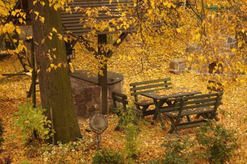 Apartamento M?ynarzowy Dworek