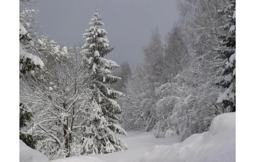 Holiday Home Benecko-rychlov