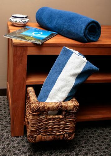 Hotel H�tel Pineto