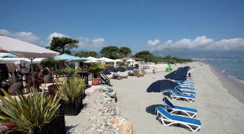 Hotel H�tel Pineto
