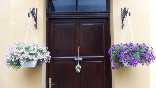 Hostal Caesar Panzi�