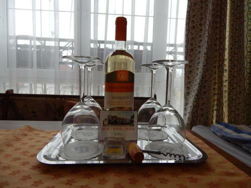 Hotel Balaton