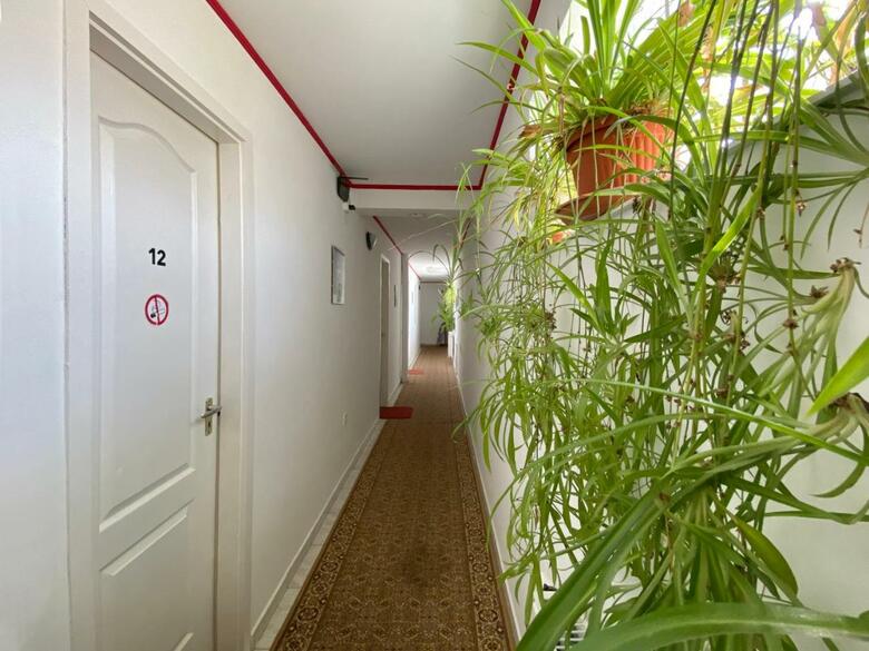 Hostal Hargita Panzio