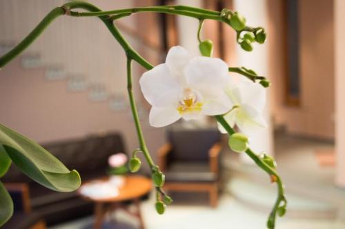 Hotel M�trix
