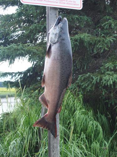 Salmon Catcher Lodge