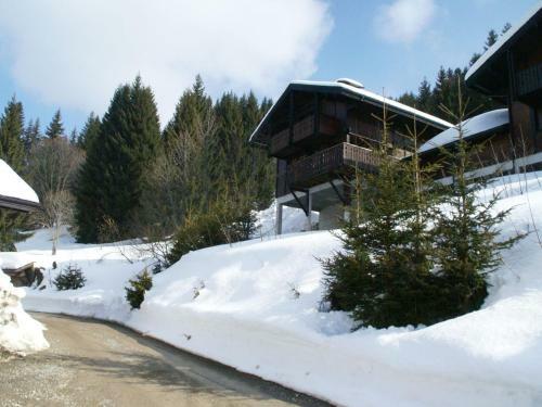 Chalet De Beerenburcht Les Gets