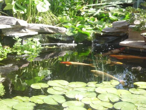 Crossways House Bed And Breakfast