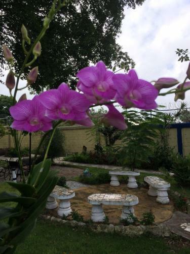Albergue Sana El Jardin Secreto