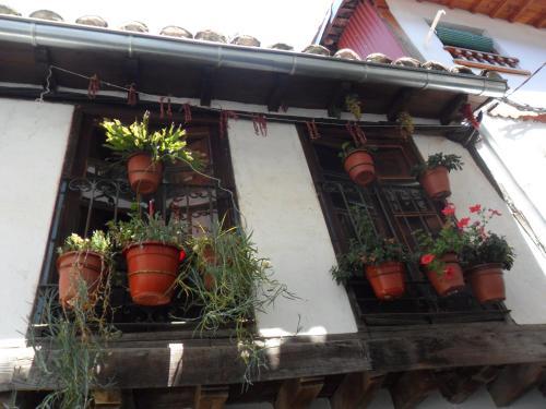 Agroturismo Casa Rural Los Casta�os