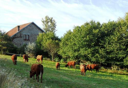 Bed & Breakfast Domaine Du Sable