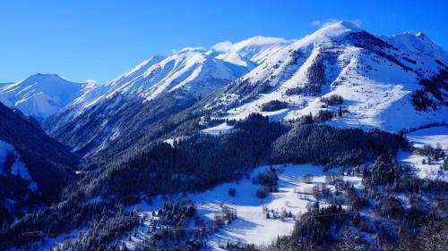 Aparthotel Les Chalets Des Ecourts