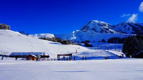 Aparthotel Les Chalets Des Ecourts
