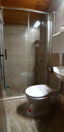 Hostal Guesthouse Budima