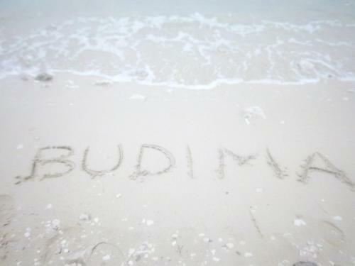 Hostal Guesthouse Budima