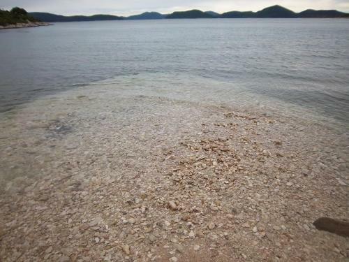 Hostal Guesthouse Budima