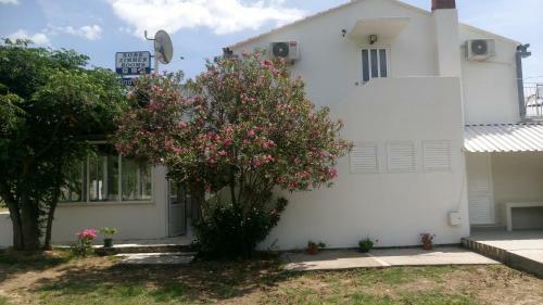 Hostal Guesthouse Budima