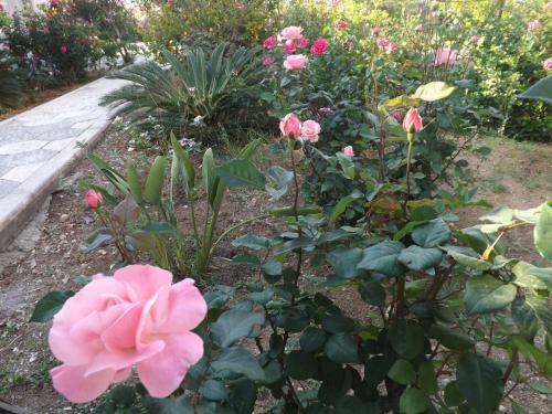 Bed & Breakfast Paradise