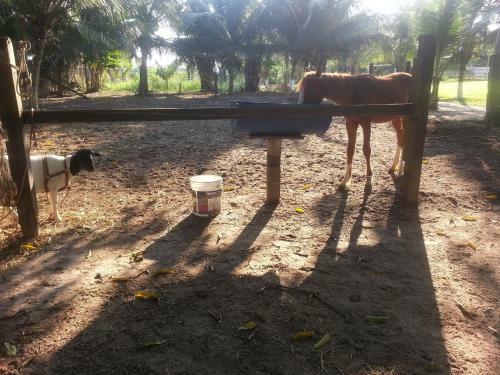 Agroturismo Chacara Santa Barbara
