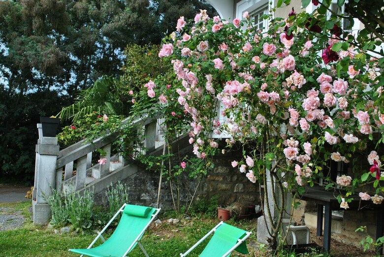 Bed & Breakfast Villa Hortebise