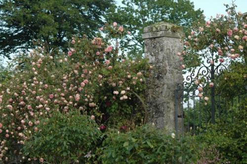 Bed & Breakfast Le Logis Du Stang