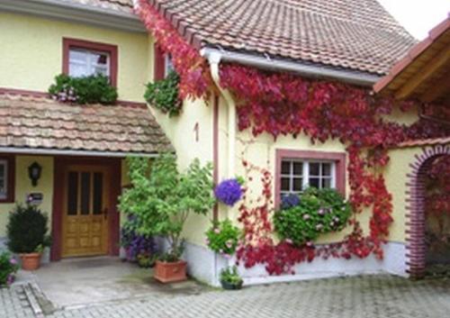 Hostal Pension Sonne