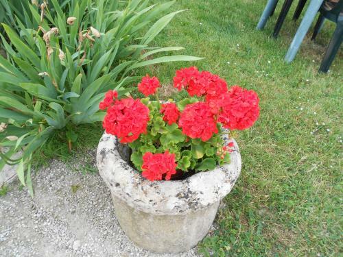Bed & Breakfast Ferme Manoir La Fiere