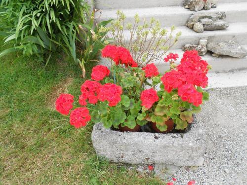 Bed & Breakfast Ferme Manoir La Fiere