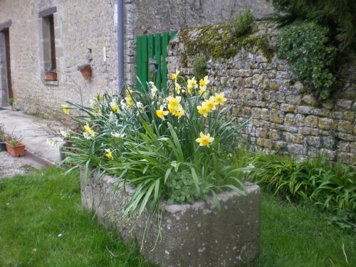Bed & Breakfast Ferme Manoir La Fiere