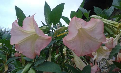 Agroturismo Fuente De G�elo